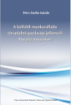 A KÜLFÖLDI MUNKAVÁLLALÁS TÁRSADALMI- GAZDASÁGI JELLEMZŐI HARGITA MEGYÉBEN 