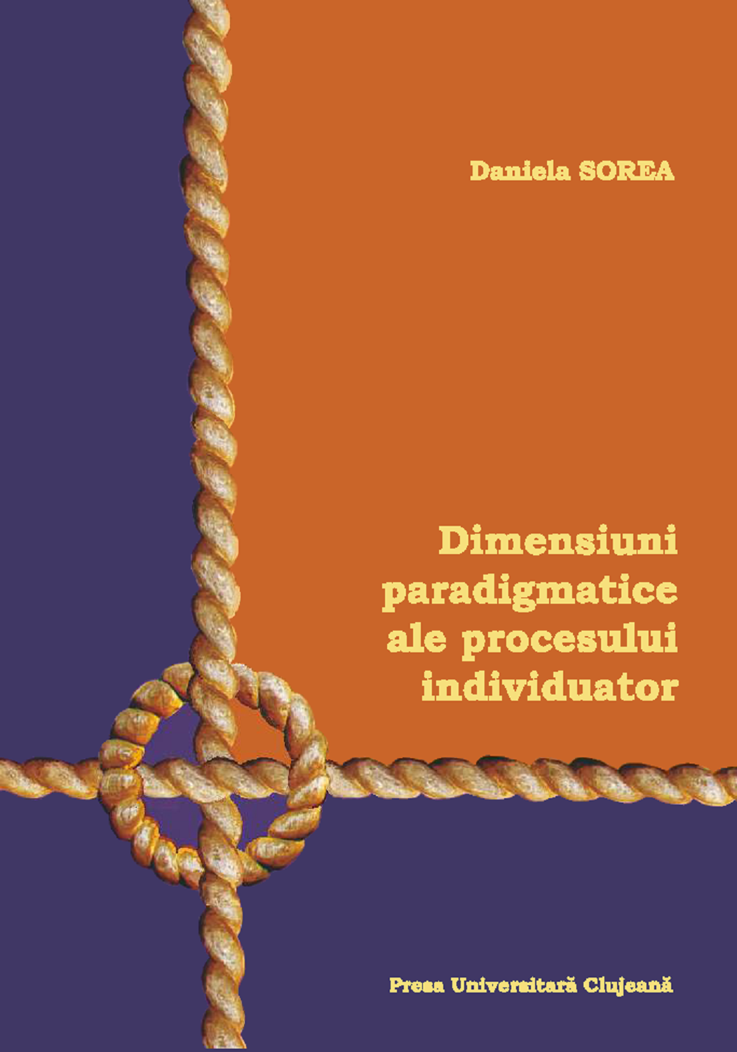 Dimensiuni paradigmatice ale procesului individuator