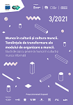 Munca în cultură și cultura muncii. Tendințele de transformare ale modului de organizare a muncii. Studii de caz cu privire la munca în cultură și munca informală în Cluj-Napoca și zona metropolitană